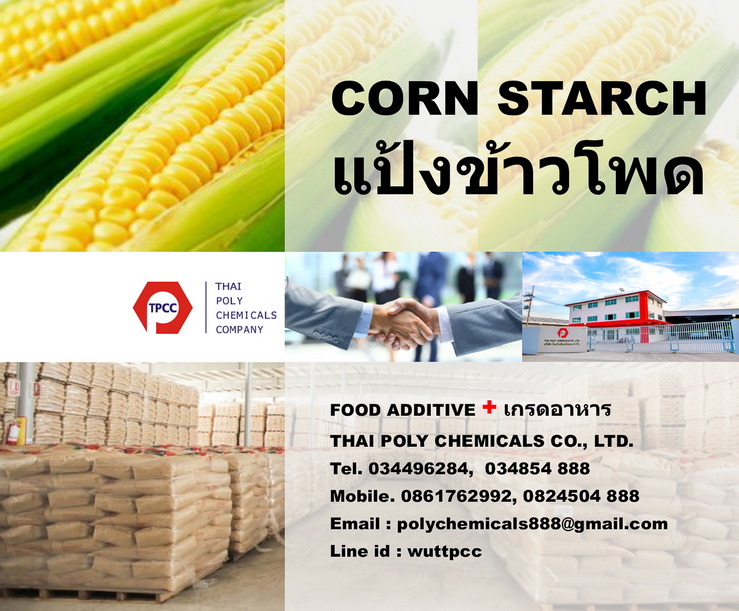 Corn Starch, จำหน่ายCorn Starch, ขายCorn Starch, ผลิตCorn Starch